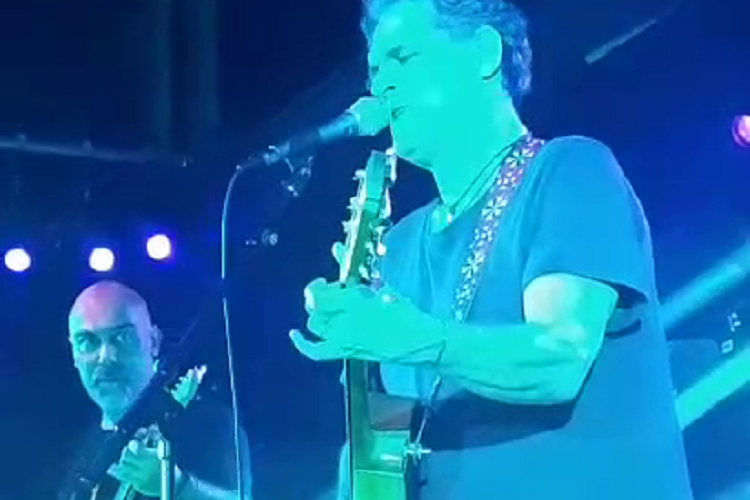 ralf hartmann vache rouge février 2026