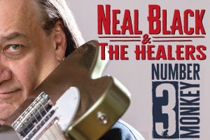NUMBER-3-MONKEY-FRONT-COVER