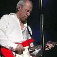 MARK KNOPFLER Lyon (Tony Garnier) 05/04/2005